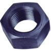 Hex Nut